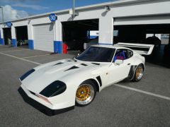 Primadonna Z
