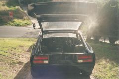 Tail