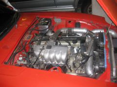 Canberra Meet August