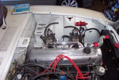 Engine bay cleanup...