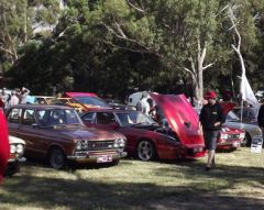 Picnic at Hanging Rock