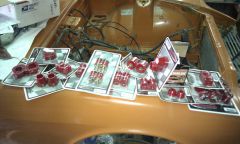 Bushing kit- $260aud