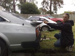 Whale tail test fit2