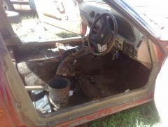 Flooded Reds Interior