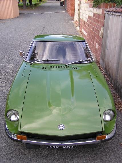 113green2.jpg