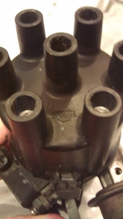 2012-04-02175513.jpg