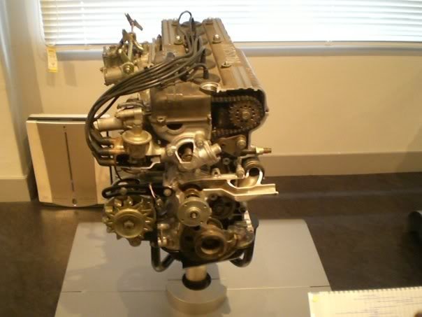 23548_335020886132_706536132_528259.jpg