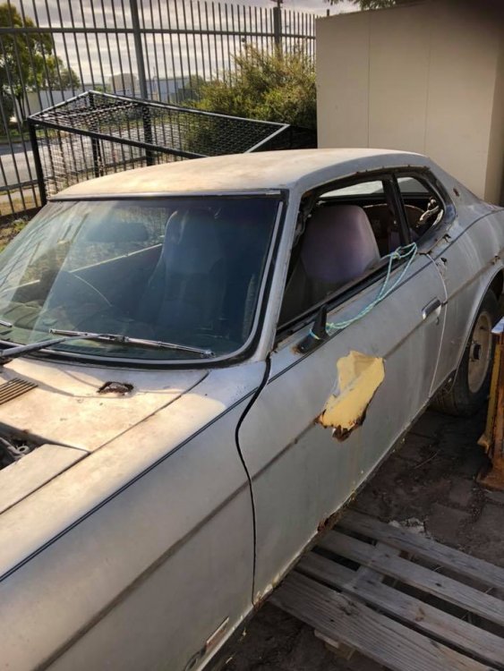 47577311_10156834089314919_5000114545620