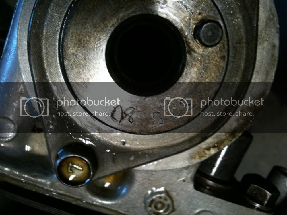 517d961f.jpg