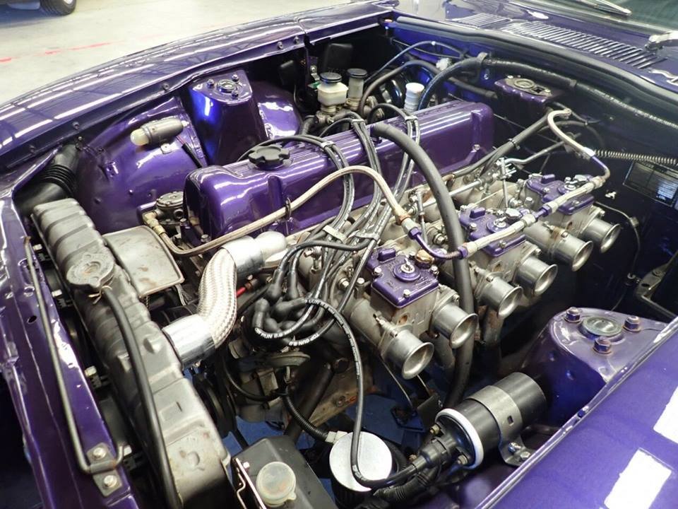 56158116_2565574223513354_31156284311029