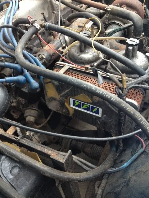 B1228E29-6976-437B-8CA2-175E11DC5CAA-14865-00000EAFEFAE5842_zps6bb1b888.jpg