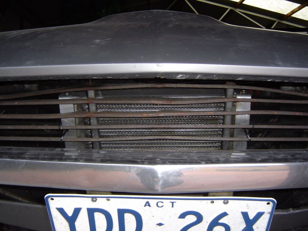 DSC00709-1.jpg