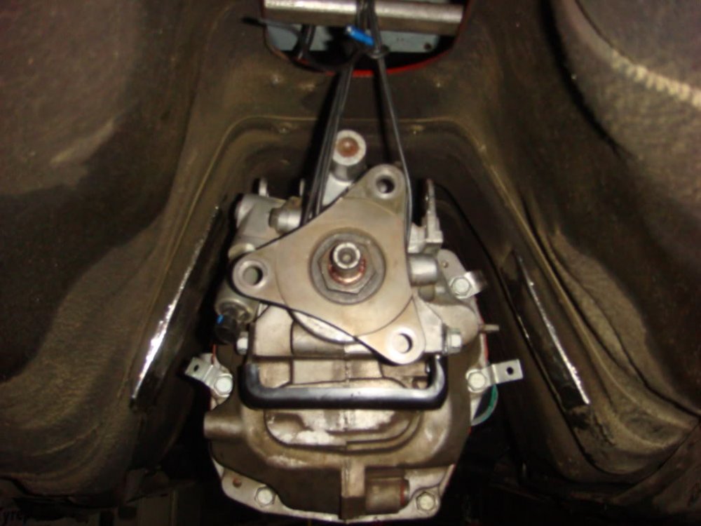 DSC01201.jpg
