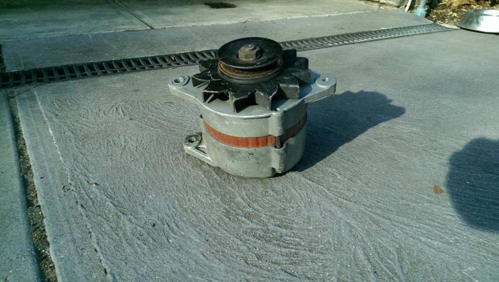 IMAG0203_zps1wrircfk.jpg