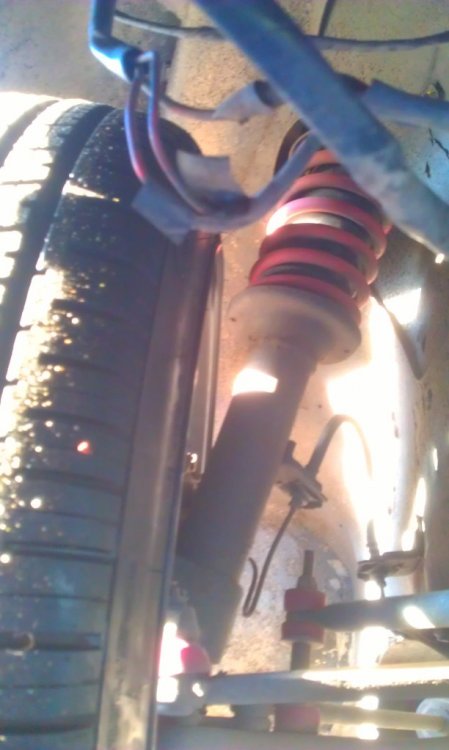 IMAG0246_zps1f2b1ade.jpg