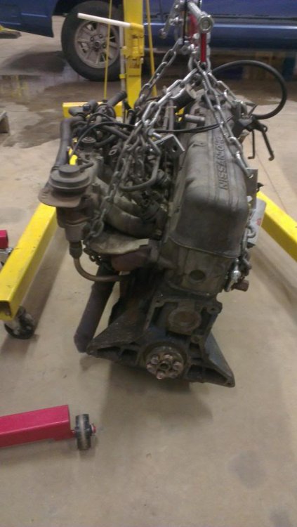 IMAG0607_zps871dac9d.jpg