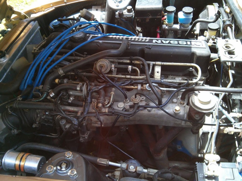 IMG_20131207_121237.jpg