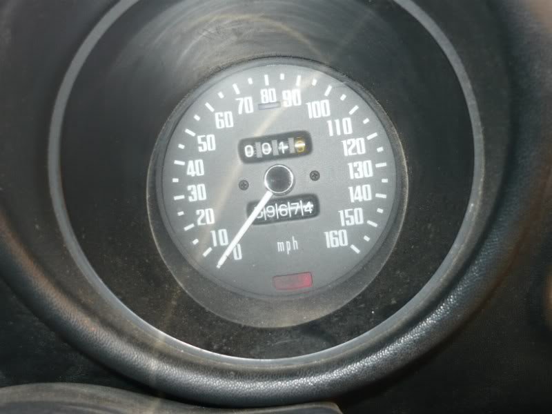 P1000931800x600.jpg