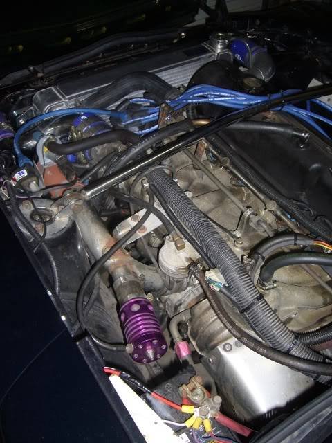 P1040434.jpg