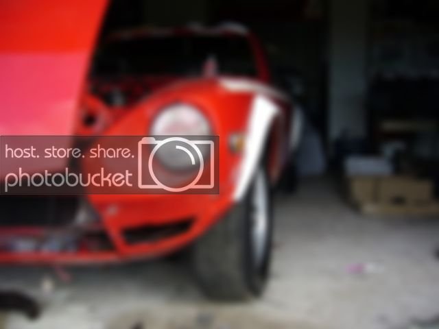 Picture250636328.jpg