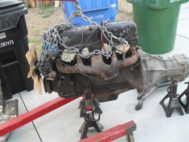 SDC13321.jpg