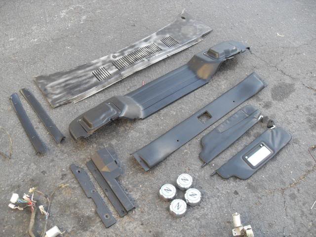 SDC14164.jpg