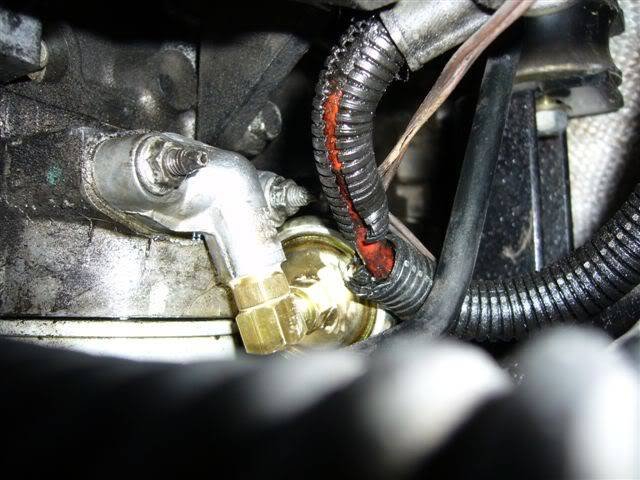 TimNell377.jpg