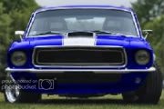 avatarblue67.jpg