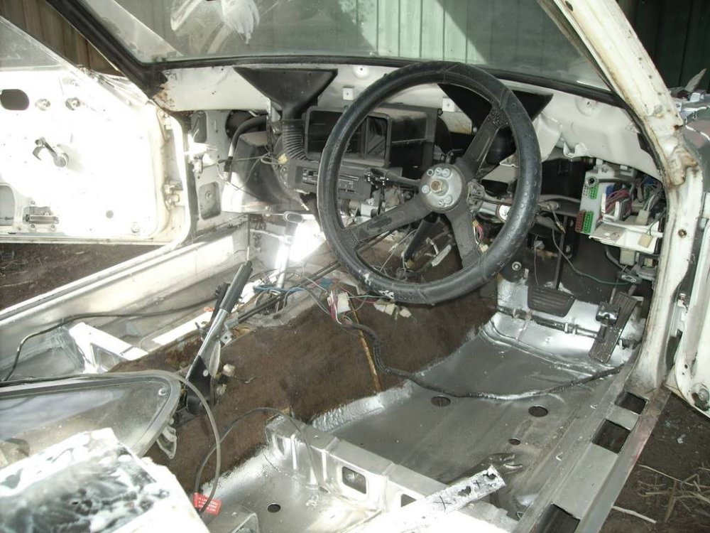 carpics001.jpg