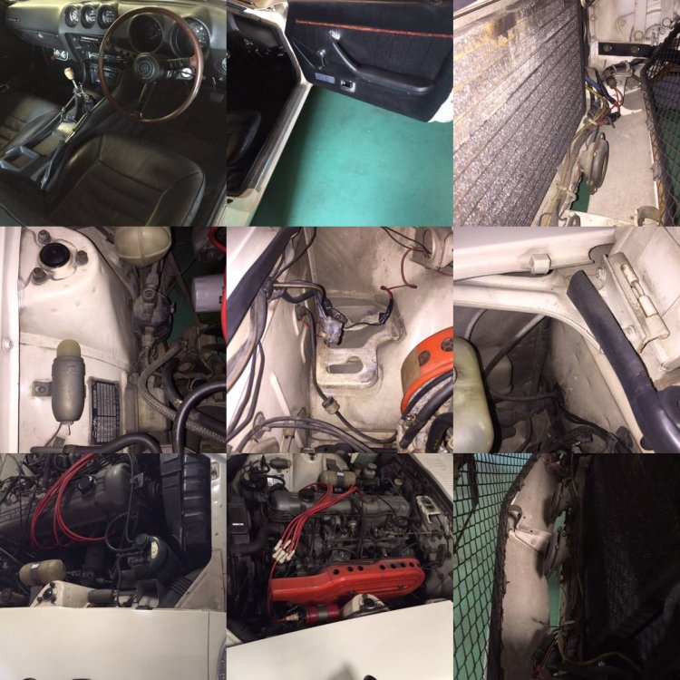 i-img1200x1200-1576381057pjlro6208361.jp