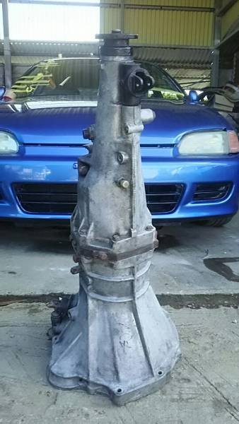 maruuold-img338x600-1489990086t42kxf2917