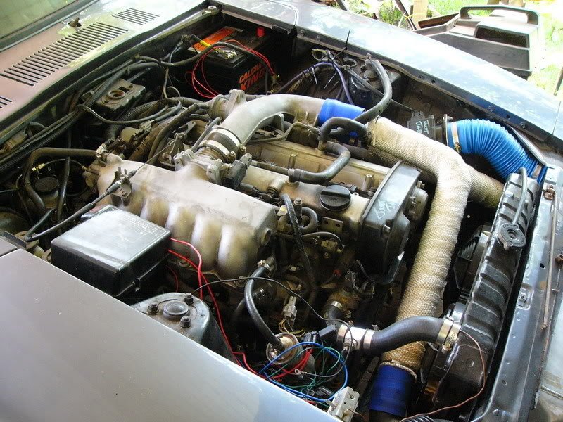 sP1030415.jpg