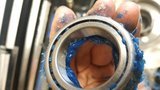 th_20160922_132309_zpsw2dl3kjh.jpg