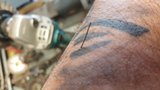 th_20161020_140857_zpsrffulisk.jpg
