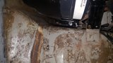 th_20161027_102313_zpsqwrmzxin.jpg