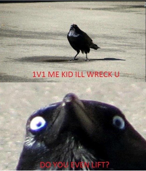 tumblr_mdxmww2DGa1rl236ko1_500.jpg