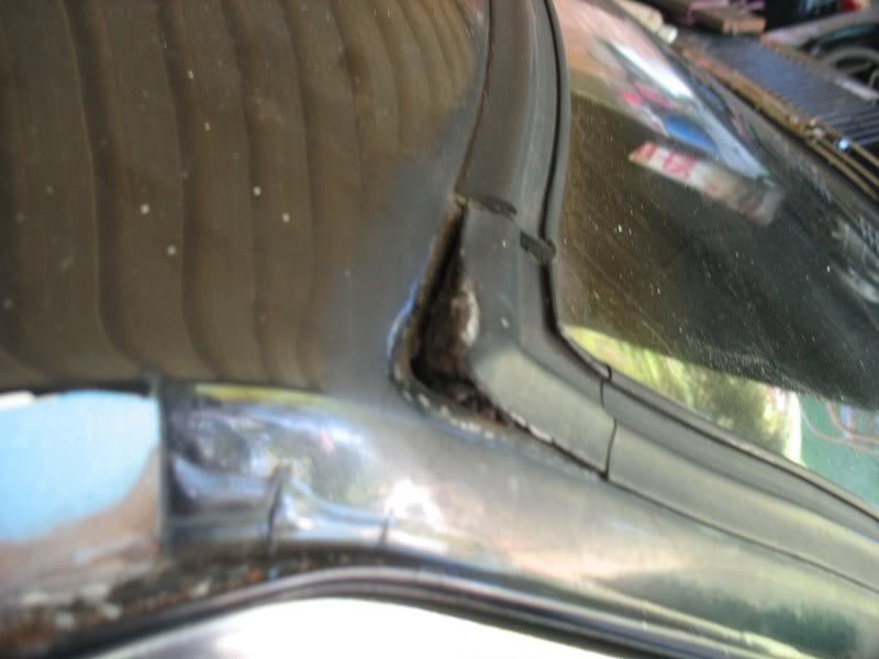 windscreen.jpg