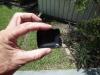post-1098-144023603762_thumb.jpg