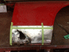 post-1648-144023740641_thumb.gif