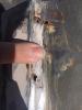 post-8934-144023778794_thumb.jpg