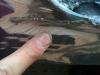 post-103470-0-28595000-1455944273_thumb.jpg