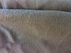 post-646-144023621419_thumb.jpg