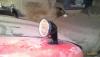 post-103577-0-85686600-1460986167_thumb.jpg