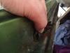 post-3824-144023724757_thumb.jpg