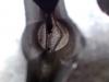 post-2089-144023650566_thumb.jpg