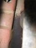 post-1621-144023553105_thumb.jpg