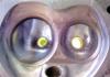 post-2089-144023602868_thumb.jpg