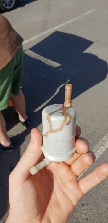 20180704_131553.jpg