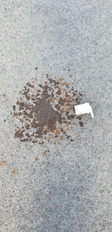 20180704_132105.jpg