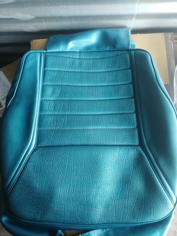 38600541_298882043996387_890100928072384512_n (1).jpg